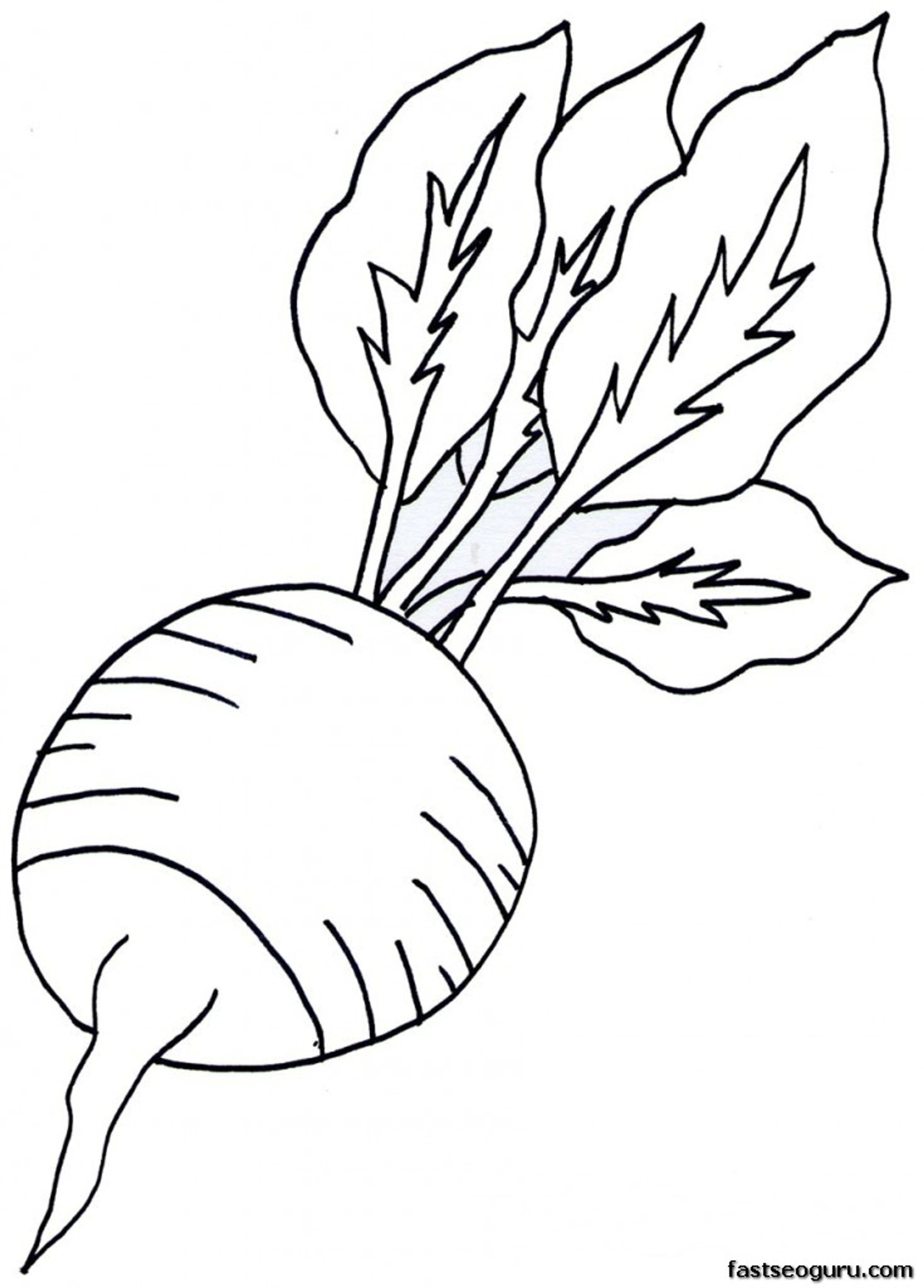 Printable Vegetable Radish Coloring Page